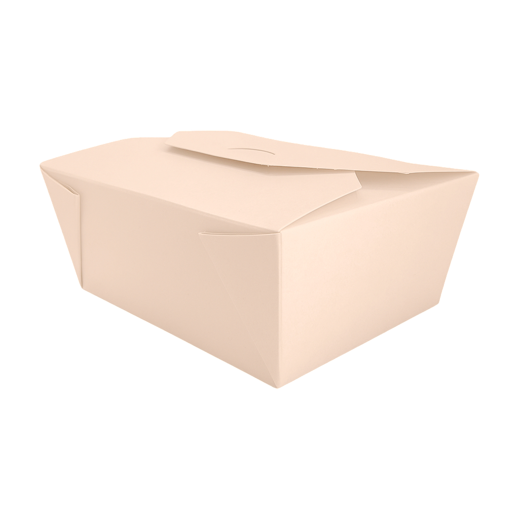 Box 123. A large eco-friendly food box.