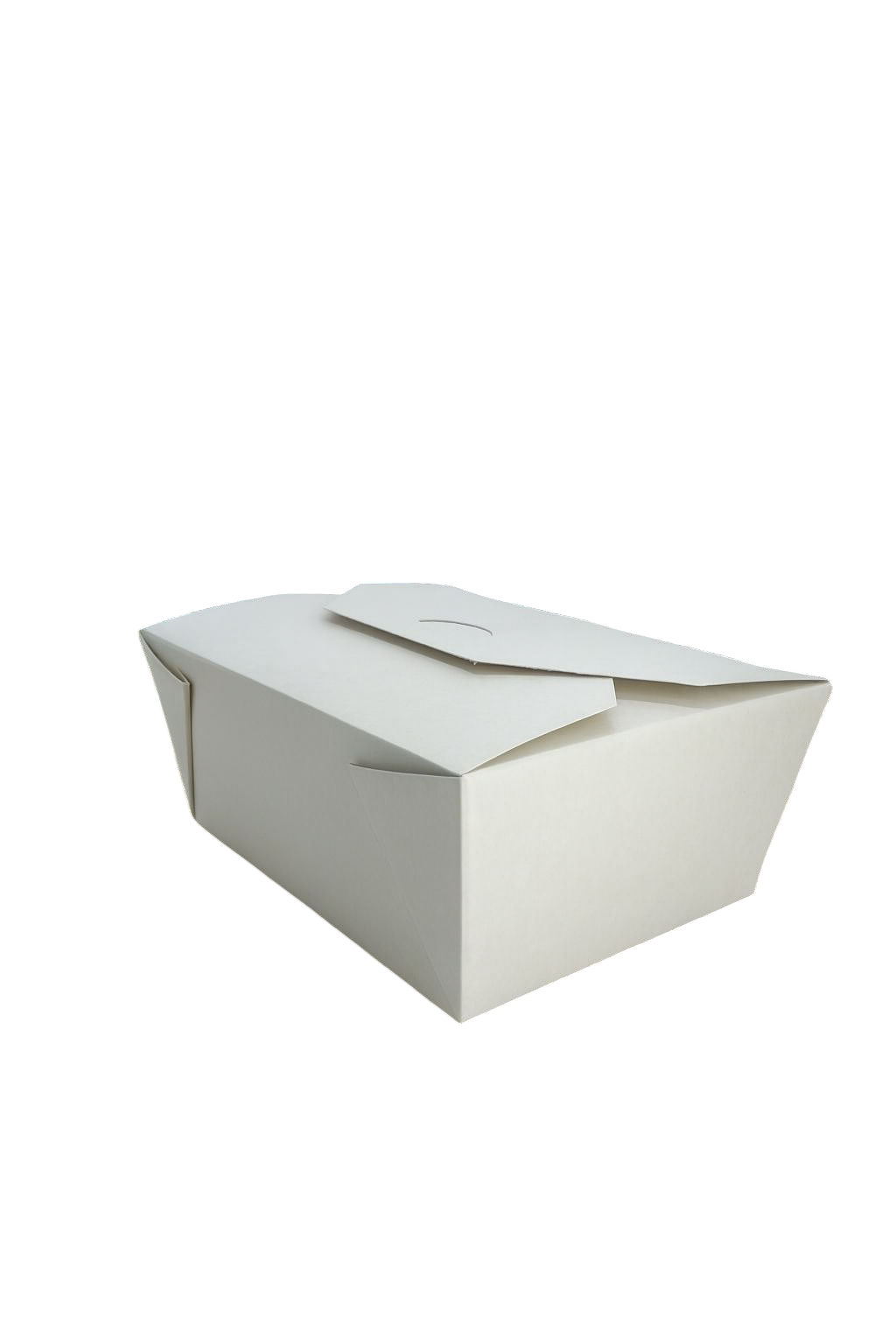 Box 123. A large eco-friendly food box.