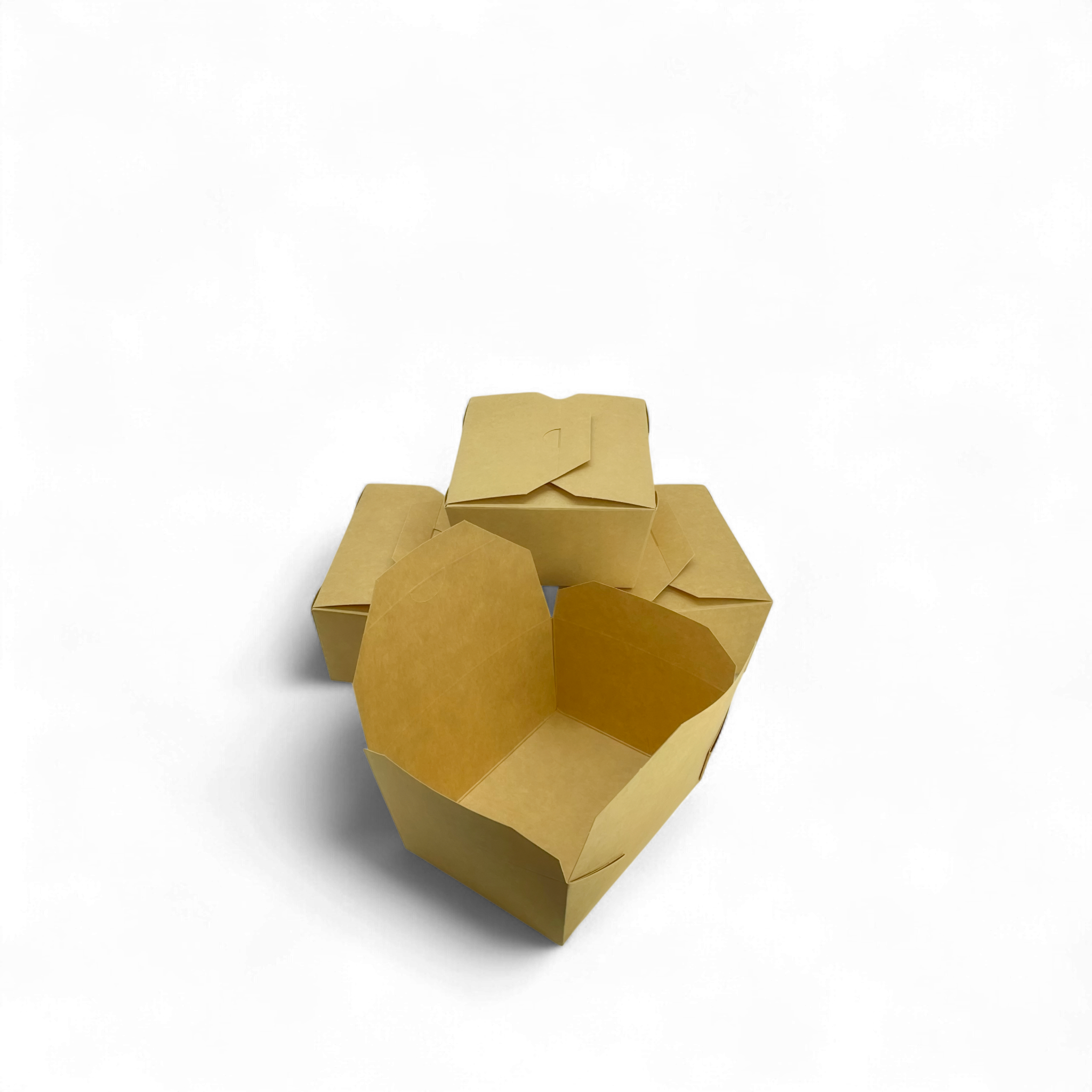 Box 123. A large eco-friendly food box.